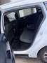 Ford Focus Titanium X, Winterpaket, Navi, Rückfahkamera Weiß - thumbnail 25