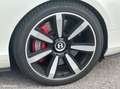 Bentley Continental GTC ii 6.0 w12 625 speed Blanc - thumbnail 8