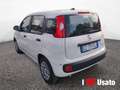 Fiat Panda New 1.0 70cv Hybrid Panda Bianco - thumbnail 4