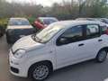 Fiat Panda New 1.0 70cv Hybrid Panda Bianco - thumbnail 8