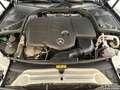 Mercedes-Benz T AMG Line  Panorama Burmester Memory Grau - thumbnail 6