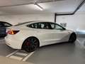 Tesla Model 3 Model 3 Performance AWD Weiß - thumbnail 5