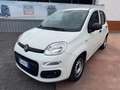 Fiat Panda Panda 1.0 VAN ibrida - autocarro 2 posti Bianco - thumbnail 2