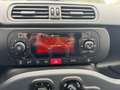 Fiat Panda Panda 1.0 VAN ibrida - autocarro 2 posti Bianco - thumbnail 12