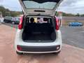 Fiat Panda Panda 1.0 VAN ibrida - autocarro 2 posti Bianco - thumbnail 7