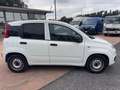 Fiat Panda Panda 1.0 VAN ibrida - autocarro 2 posti Bianco - thumbnail 8