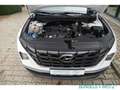 Hyundai TUCSON 1.6 T-GDI MILD-HYBRID SELECT 2WD Apple CarPlay And Blanco - thumbnail 16