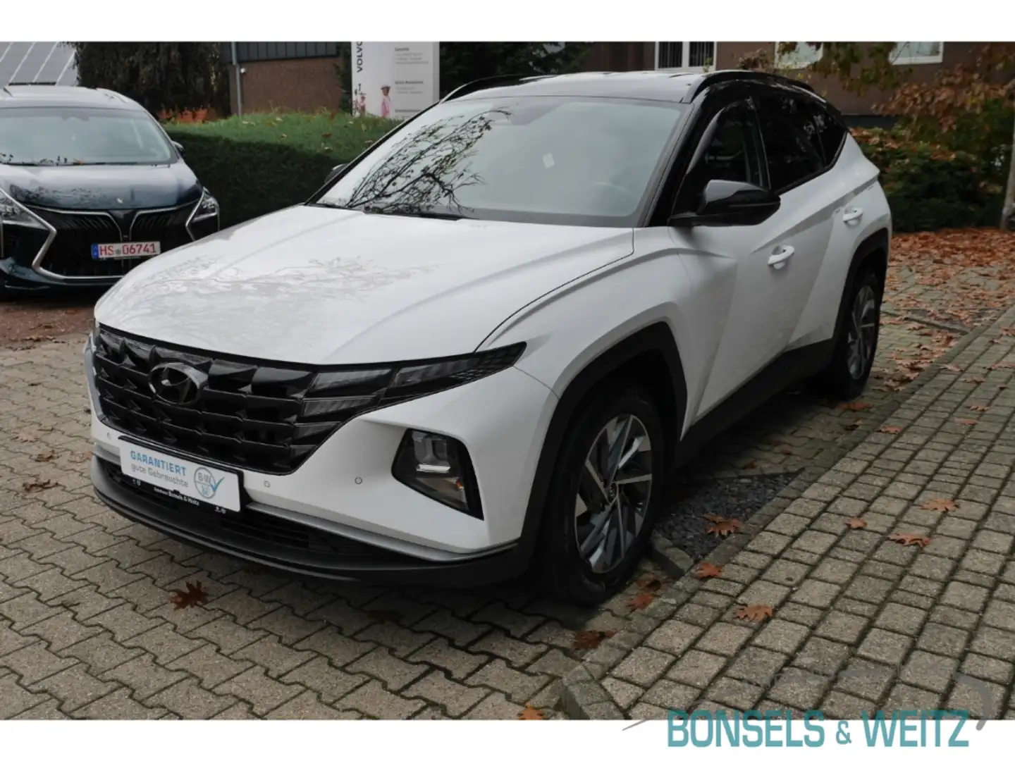 Hyundai TUCSON 1.6 T-GDI MILD-HYBRID SELECT 2WD Apple CarPlay And Blanco - 2