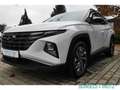 Hyundai TUCSON 1.6 T-GDI MILD-HYBRID SELECT 2WD Apple CarPlay And Blanco - thumbnail 17