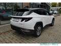 Hyundai TUCSON 1.6 T-GDI MILD-HYBRID SELECT 2WD Apple CarPlay And Blanco - thumbnail 4