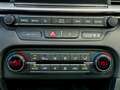 Kia Ceed / cee'd 1.0 T-GDi 120PK ExecutiveLine + Dealer OH|Panorama Grijs - thumbnail 25
