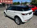 Land Rover Range Rover Evoque TD4 Aut.Autobiography-Diesel, Allrad, Pano, HU8/25 Bianco - thumbnail 4