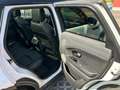 Land Rover Range Rover Evoque TD4 Aut.Autobiography-Diesel, Allrad, Pano, HU8/25 Bianco - thumbnail 18