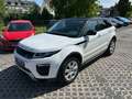 Land Rover Range Rover Evoque TD4 Aut.Autobiography-Diesel, Allrad, Pano, HU8/25 Bianco - thumbnail 3