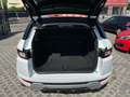 Land Rover Range Rover Evoque TD4 Aut.Autobiography-Diesel, Allrad, Pano, HU8/25 Bianco - thumbnail 7