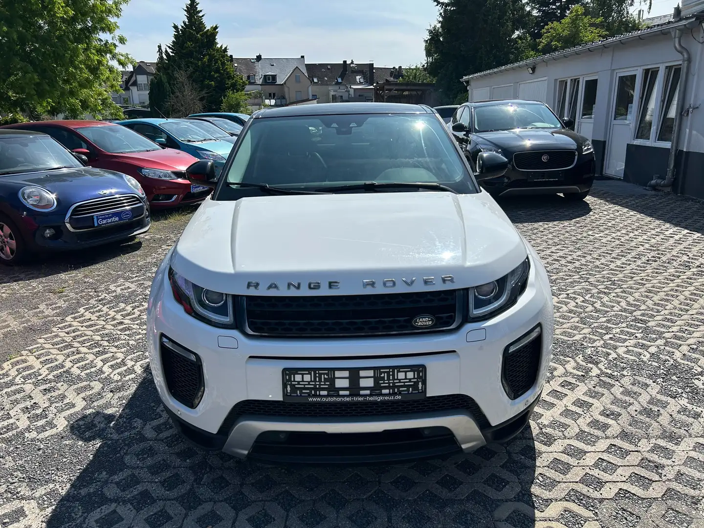 Land Rover Range Rover Evoque TD4 Aut.Autobiography-Diesel, Allrad, Pano, HU8/25 Bianco - 2