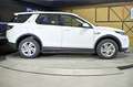 Land Rover Discovery Sport 2.0D TD4 MHEV Standard AWD Auto 204 - thumbnail 23