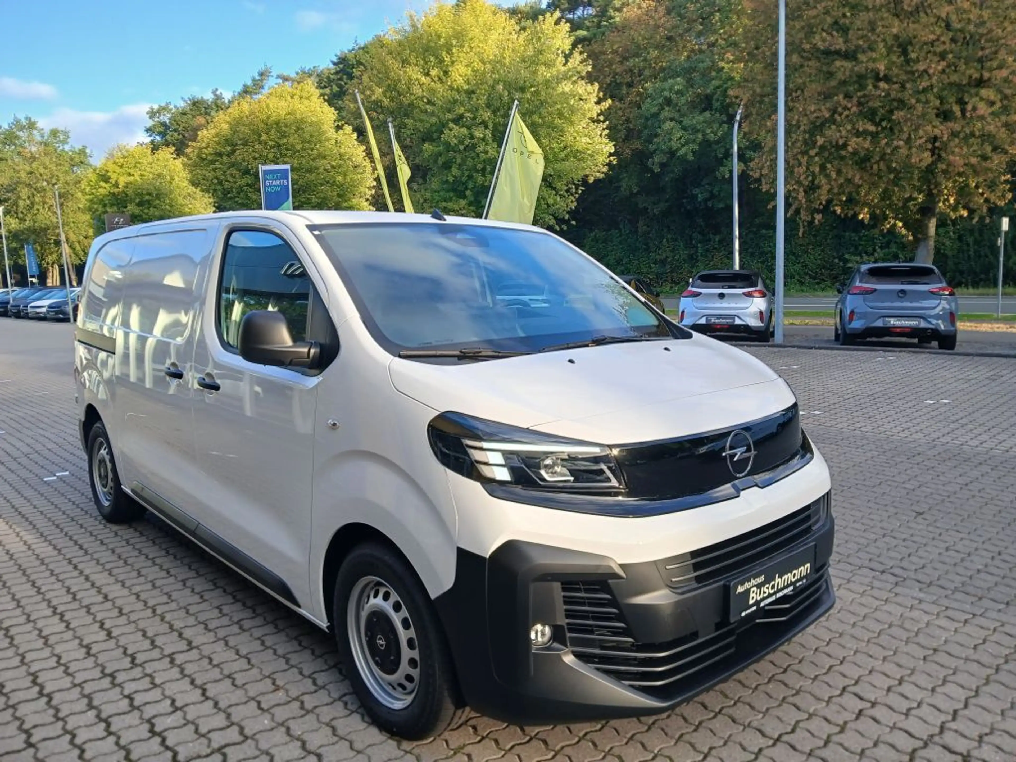 Opel Vivaro 2.2 Diesel 180 M — photo 3