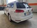 Volkswagen Golf Variant Golf VII 2017 Variant 1.0 tsi Business 110cv Bianco - thumbnail 4