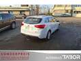 Kia Ceed / cee'd 1.6 CRDi Edition 7 Sportswagon AHK LM Klima - thumbnail 3