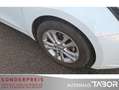 Kia Ceed / cee'd 1.6 CRDi Edition 7 Sportswagon AHK LM Klima - thumbnail 13