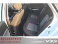 Kia Ceed / cee'd 1.6 CRDi Edition 7 Sportswagon AHK LM Klima - thumbnail 9