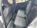 Dacia Sandero Sandero 1.0 TCe // Boîte automatique // Blanc - thumbnail 14
