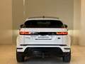 Land Rover Range Rover Evoque R-Dyn. SE P300e Hybrid AHK Weiß - thumbnail 12
