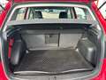 Volkswagen Golf Plus Trendline 1,6 TDI DPF Rot - thumbnail 14