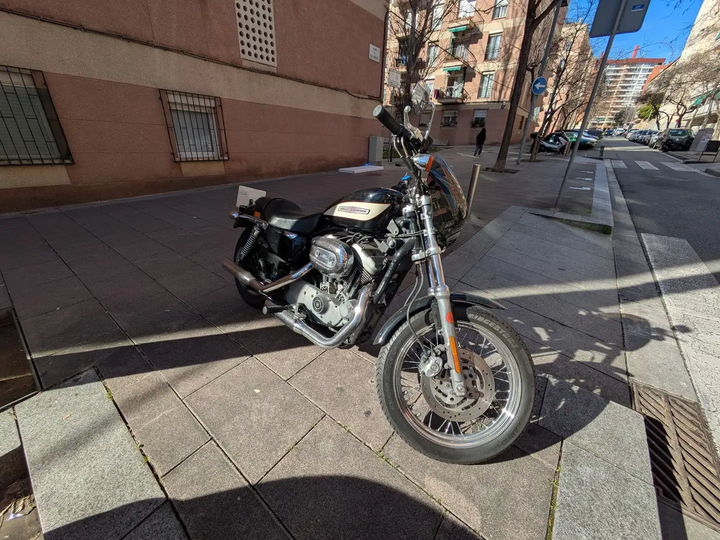 Harley-Davidson XL 1200 Roadster Negro - 1