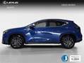 Lexus NX 300h 450h+ Executive 4WD Blau - thumbnail 3