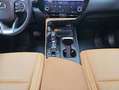 Lexus NX 300h 450h+ Executive 4WD Azul - thumbnail 17