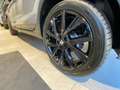 SEAT Arona FR Black Edition 1.0 TSI 85kW (116PS) 7-Gang DSG 1 Grau - thumbnail 8