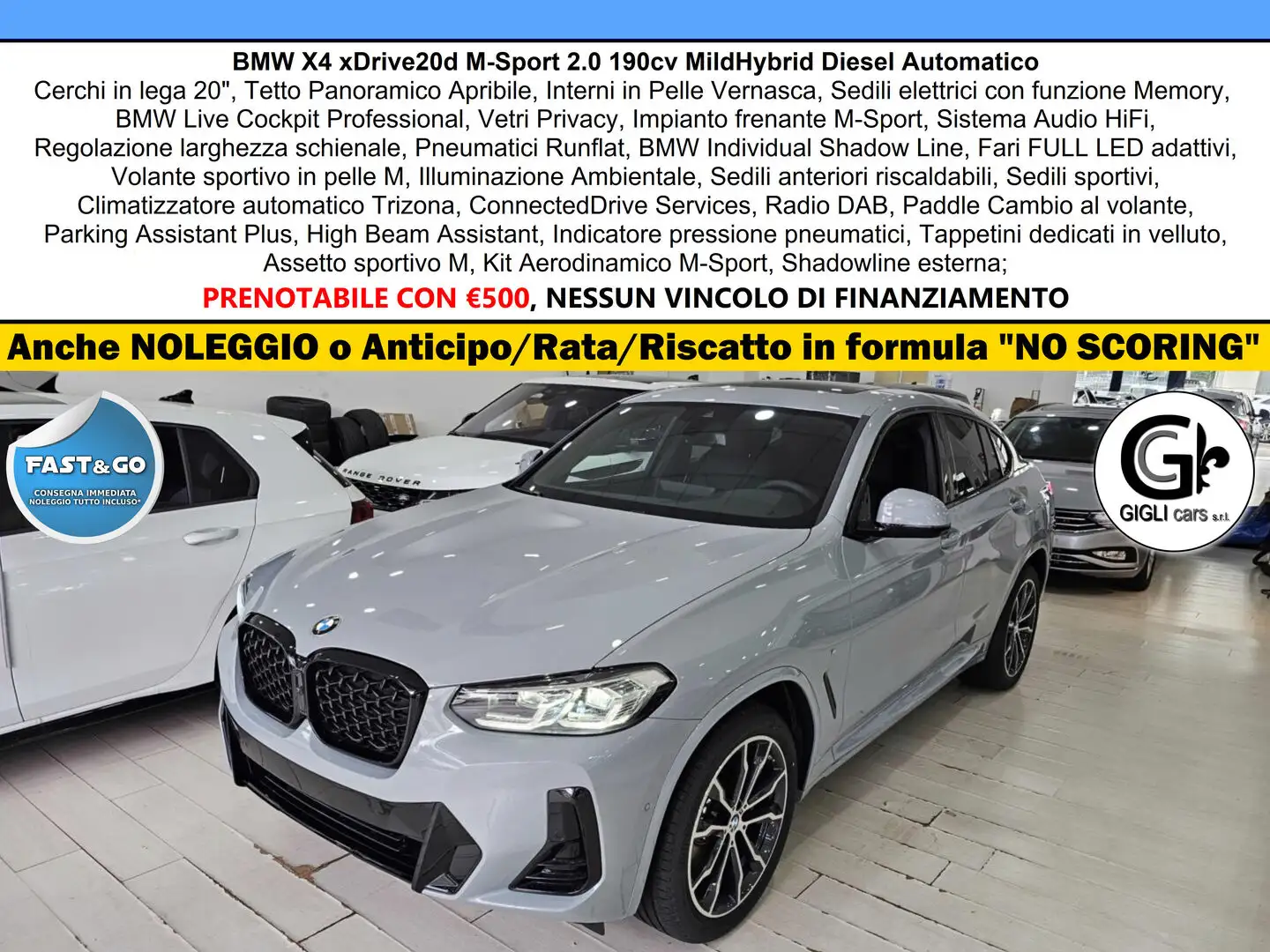 BMW X4 XDrive20d M-Sport C20" TETTO Navi CAM LED Clima3Z Gri - 1