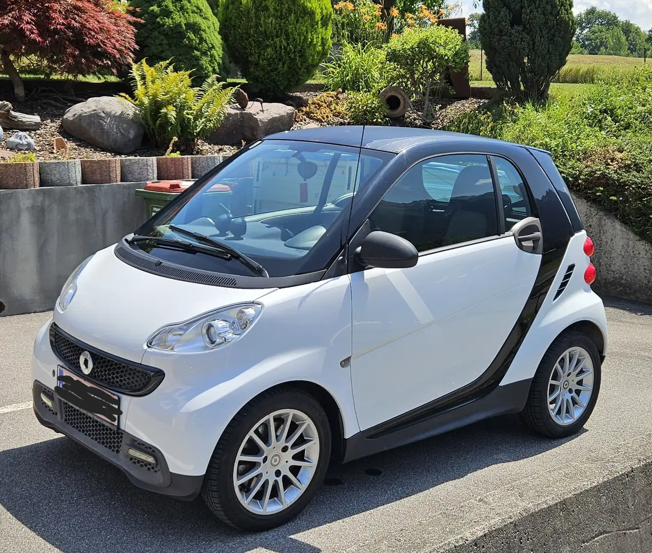 smart forTwo pure micro hybrid - 2