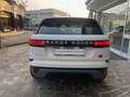 Land Rover Range Rover Velar 2.0d i4 mhev 4wd 204cv auto UNICO PROPRIETARIO Blanc - thumbnail 3