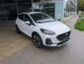 Ford Fiesta Active 1,0 EcoBoost Start/Stop Weiß - thumbnail 6