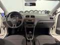 Volkswagen Polo Polo 1.2 TDI DPF 5 p. Comfortline - thumbnail 7