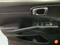 Kia Sorento 1.6 T-GDi HEV Drive 4x2 Azul - thumbnail 22