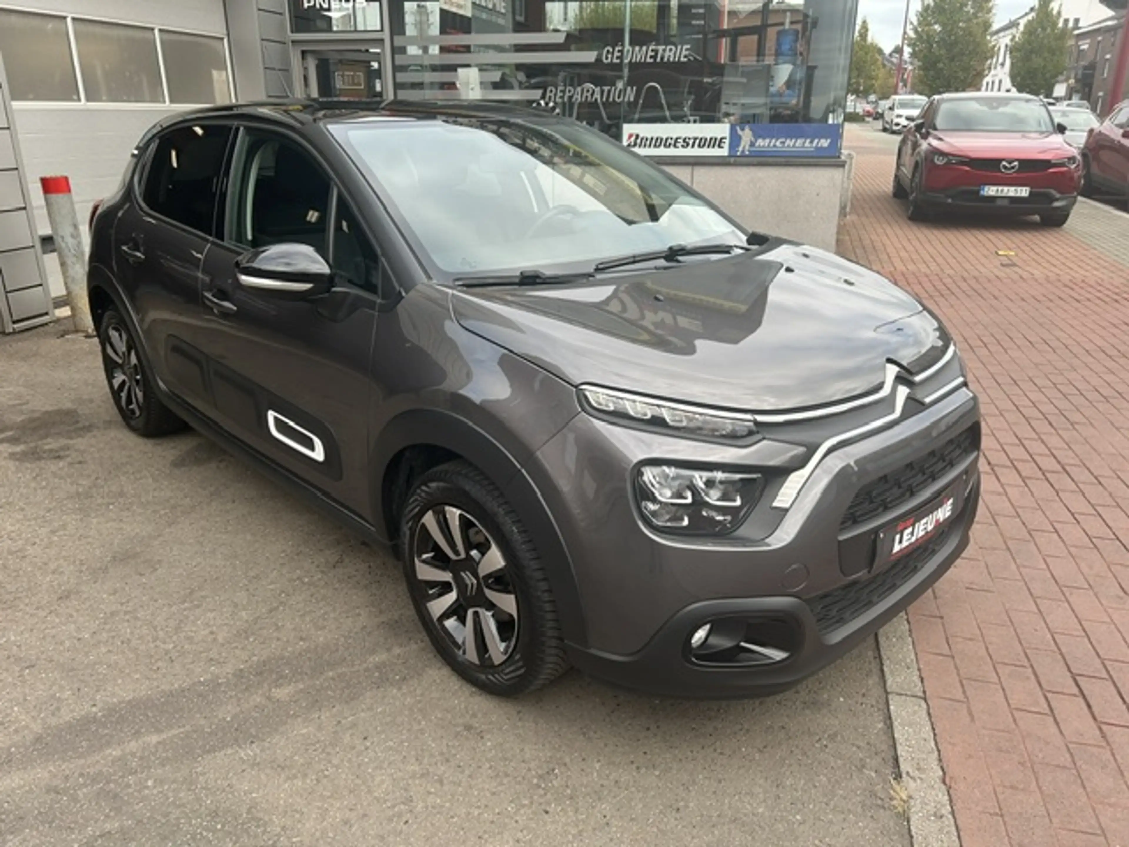 Citroen C3 C3 1.5 BlueHDi Shine S — photo 10