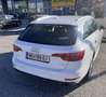 Audi A4 A4 Avant 2,0 TFSI ultra Design S-tronic ultra Desi Weiß - thumbnail 2