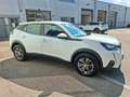 Peugeot 2008 BlueHDi 110 S&S Active Pack Weiß - thumbnail 3