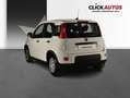 Fiat Panda 1.0 Hybrid 70CV Classic Blanco - thumbnail 7