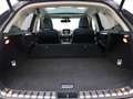 Lexus NX 300h AWD President Line Limited | Panoramadak | Mark Le Gris - thumbnail 34