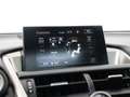 Lexus NX 300h AWD President Line Limited | Panoramadak | Mark Le Gris - thumbnail 39