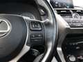 Lexus NX 300h AWD President Line Limited | Panoramadak | Mark Le Gris - thumbnail 20