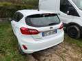 Ford Fiesta 5p 1.5 ecoblue Plus 85cv my19 * IN ARRIVO * Blanc - thumbnail 3