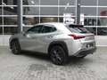 Lexus UX 200 Preference Line *t/m 10de bouwjaar garantie! Grijs - thumbnail 27