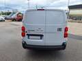 Fiat Scudo L3H1 145cv 12660kg FRigo Coibentazione Isotermica Weiß - thumbnail 4