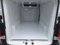 Fiat Scudo L3H1 145cv 12660kg FRigo Coibentazione Isotermica Weiß - thumbnail 5